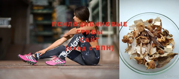 сатива Балахна