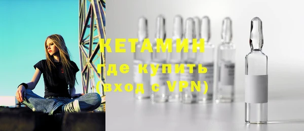 сатива Балахна