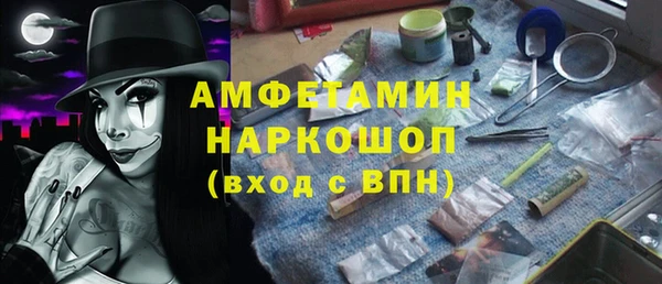 сатива Балахна