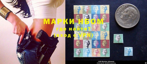 трава Новодвинск