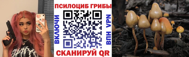 ссылка на мегу зеркало  Нахабино  Псилоцибиновые грибы Magic Shrooms  цены  